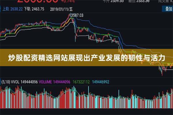 炒股配资精选网站展现出产业发展的韧性与活力