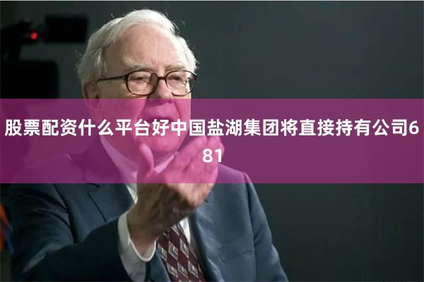 股票配资什么平台好中国盐湖集团将直接持有公司681