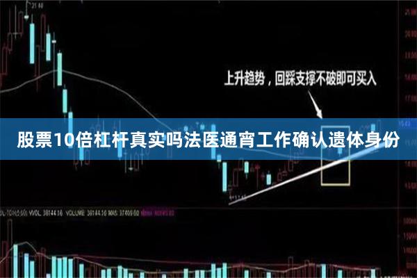 股票10倍杠杆真实吗法医通宵工作确认遗体身份